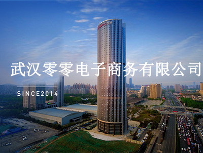 武漢零零電子商務(wù)有限公司 專(zhuān)業(yè)計(jì)算機(jī)及輔助設(shè)備租賃服務(wù)商